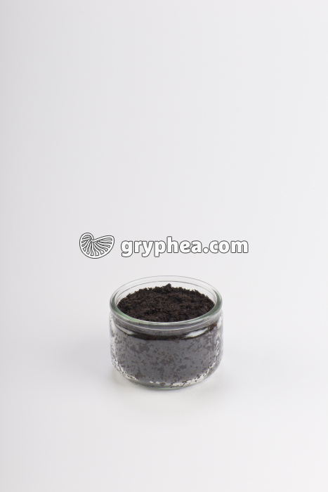 Germination de la graine de Haricot - Haricot en terre - (début) t = 0 - gryphea.com